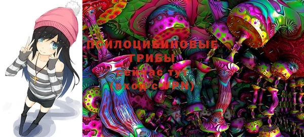 шишки Березники