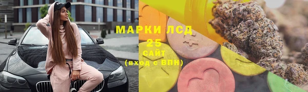 дурь Ладушкин
