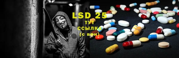 шишки Березники