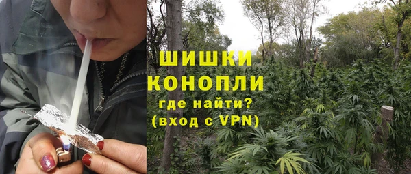дурь Ладушкин