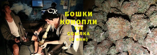дурь Ладушкин