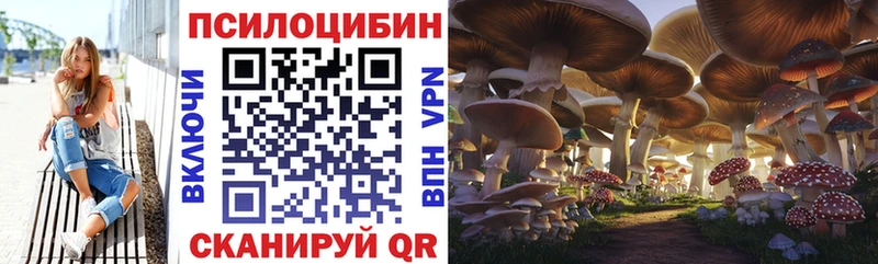 Псилоцибиновые грибы Cubensis  цены наркотик  площадка клад  Нововоронеж 