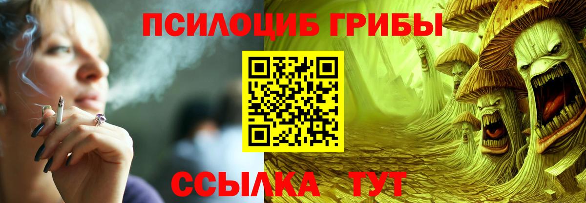 даркнет сайт  Галлюциногенные грибы прущие грибы  Вход с VPN  Нововоронеж 